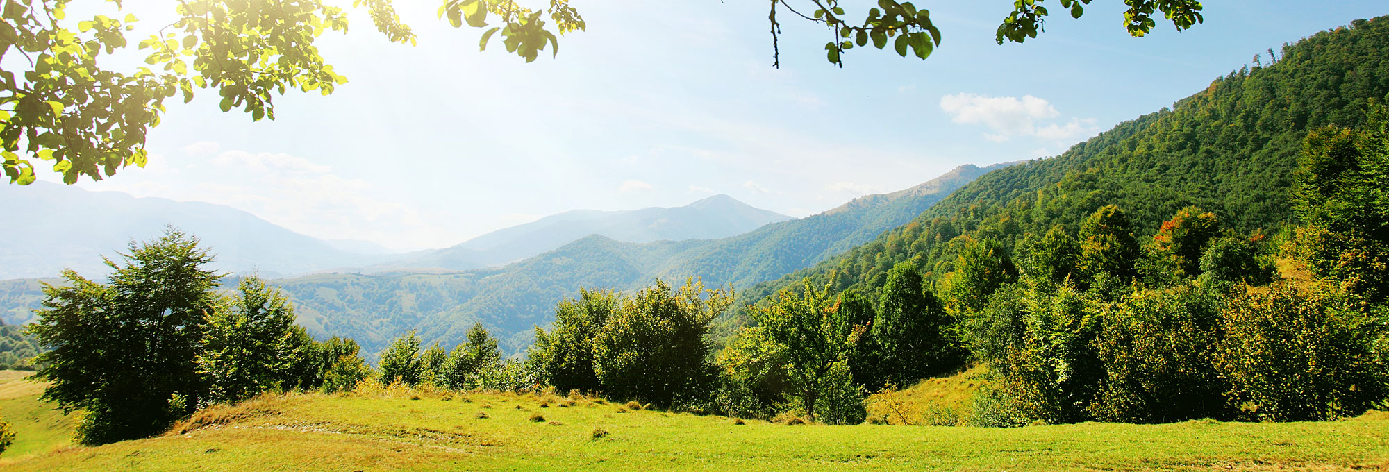 Naturlandschaft in Bayern